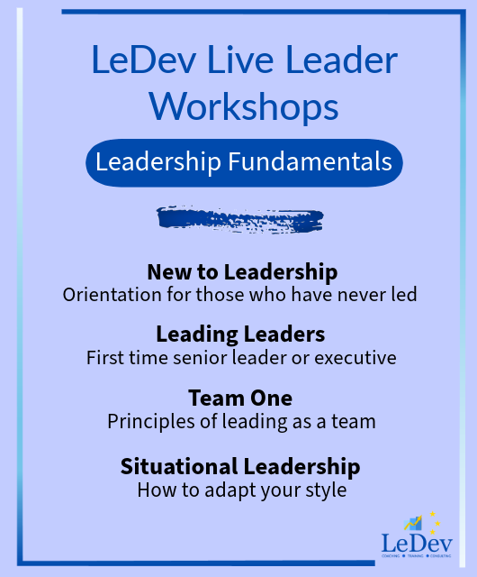 Leadership Fundamental Workshops